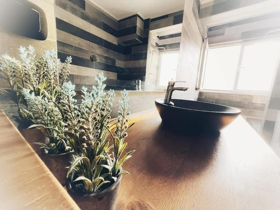 شقة The Beehive Mytilíni المظهر الخارجي الصورة